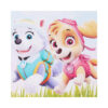 Tavita rotunda cu Paw Patrol pentru taierea motului, 30 cm, dantela roz, 6 piese, Recostore, REC1969/46 - imagine 4