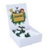 Set cutie trusou cu lumanare, 9 piese, Safari "Azi m-am crestinat!", verde inchis, Recostore®, REC2414