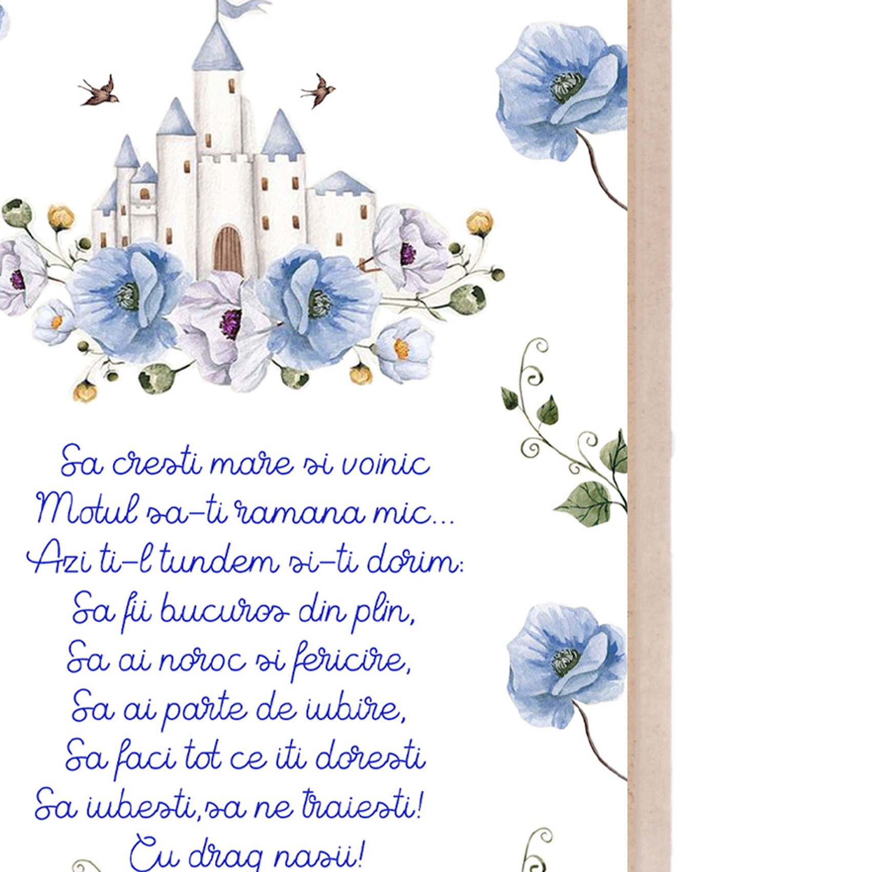 Set tava pentru taiere mot la baieti, model cu Castel, bleu, 6 piese, 35x20 cm, Recostore®, REC1967/182