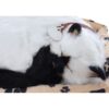 Pisica interactiva cu cosulet, doarme, miauna si da din coada, Sweet Petzzz, dimensiune 25x16 cm, REC2963 - imagine 2