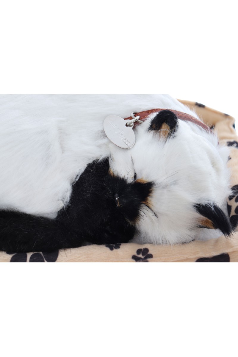 Pisica interactiva cu cosulet, doarme, miauna si da din coada, Sweet Petzzz, dimensiune 25x16 cm, REC2963 - imagine 2